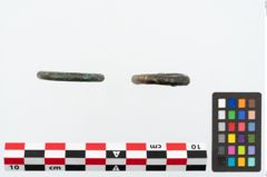 Foto von Bronzering (NHMW-PRAE-025287)